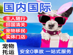 庆阳机场快运国际宠物托运 【国